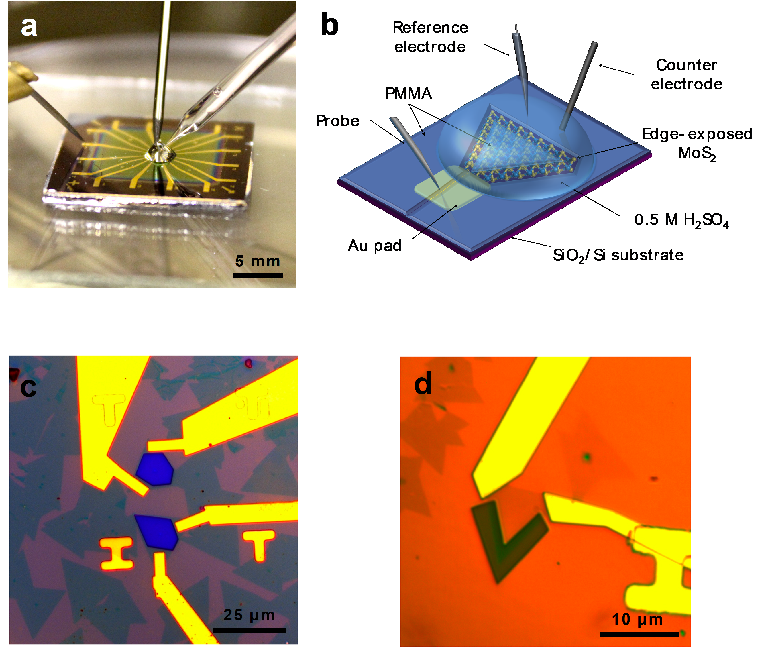 Research_Microelectrochemical_cells 