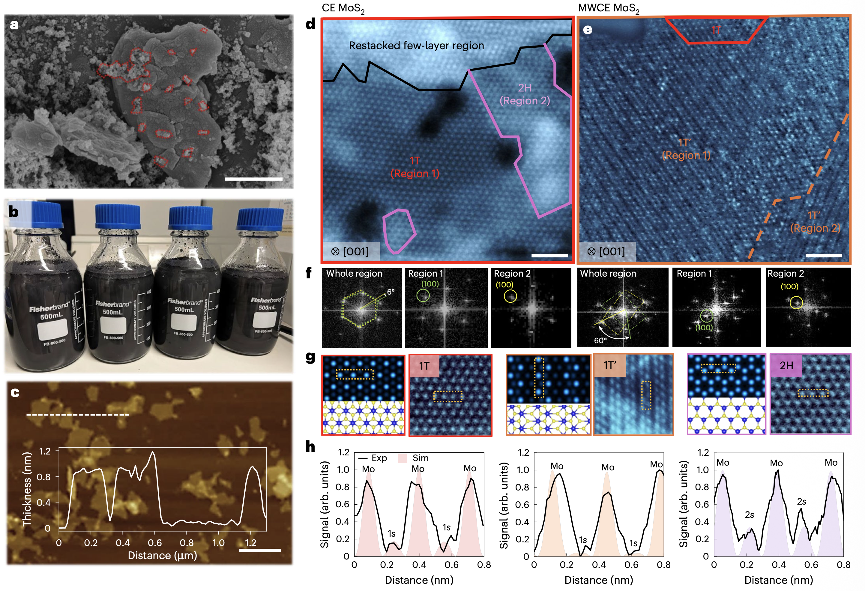Nat-Material2026-MWCE